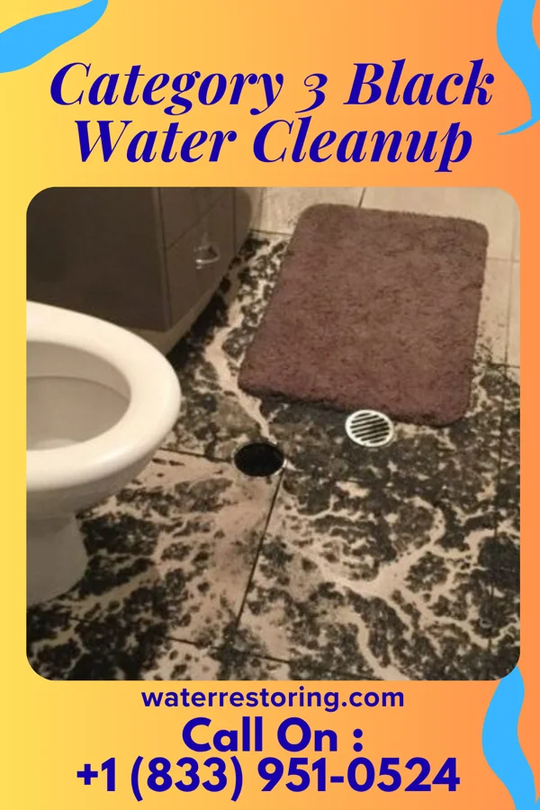 Category 3 Black Water Cleanup in Clermont, GA